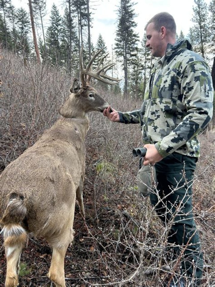 &ldquo;HeadandShoulder Hunting in the Americas Exploring Lobotomy&rsquo;s Visual