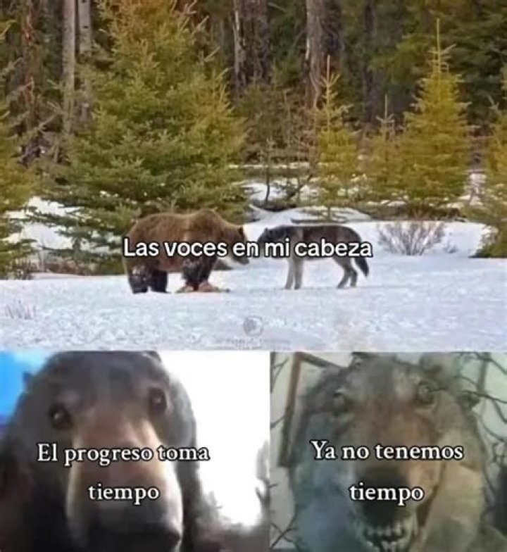 &ldquo;Trabajo de meme a tiempo completo&rdquo;, revela el adulto que alguna vez