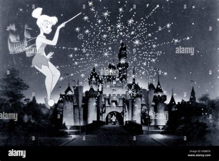 Le Monde merveilleux de Disney pr&eacute;sente La Petite Sir&egrave;ne Live ! Disney+