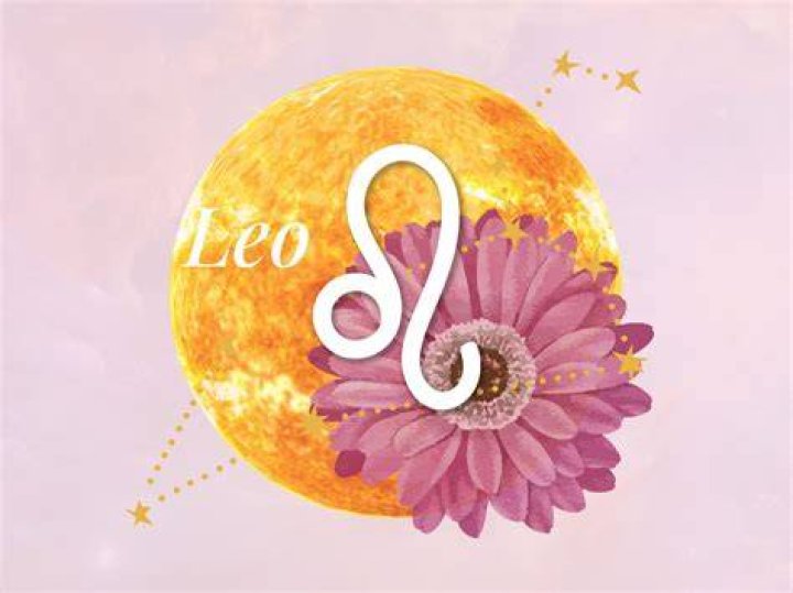 LEO JoEllyn H Tucker