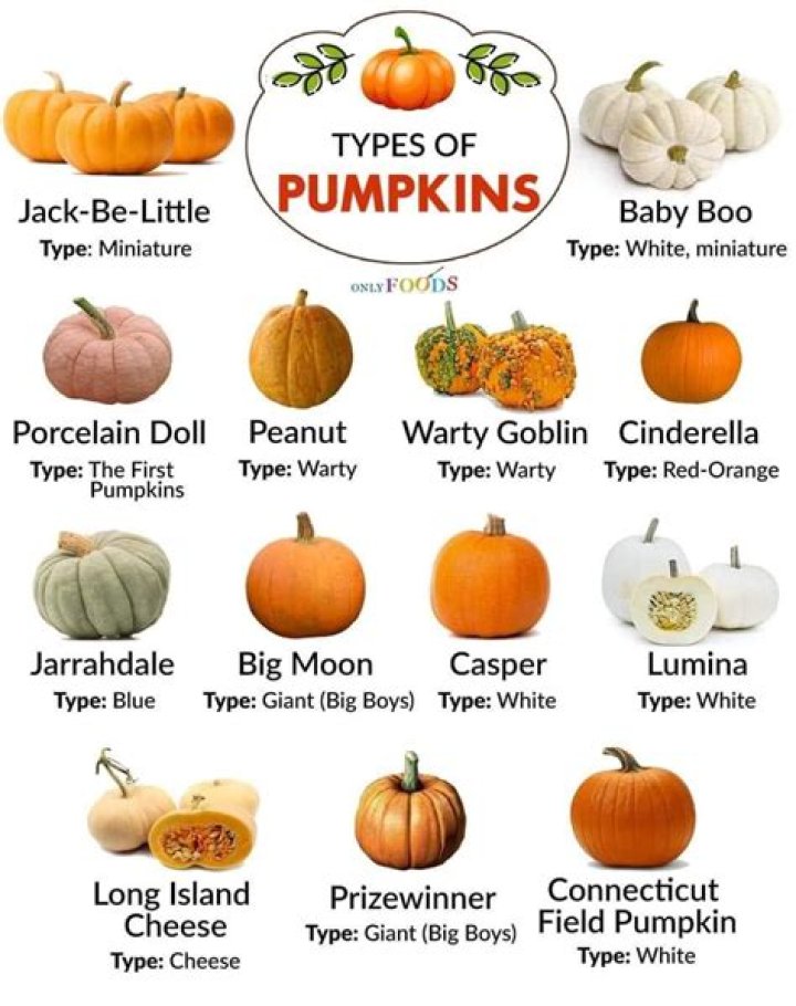 Lethal Company: What are Pumpkins? Features of Pumpkin in Lethal Company
