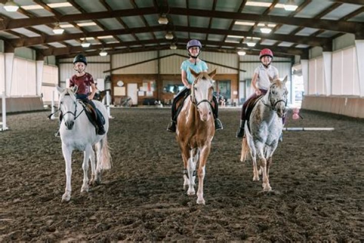 LillieJay Hayter Lavant Equestrian