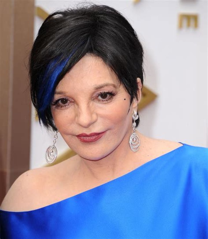 Liza Minnelli Checks Into a Rehab Facility Closer Weekly