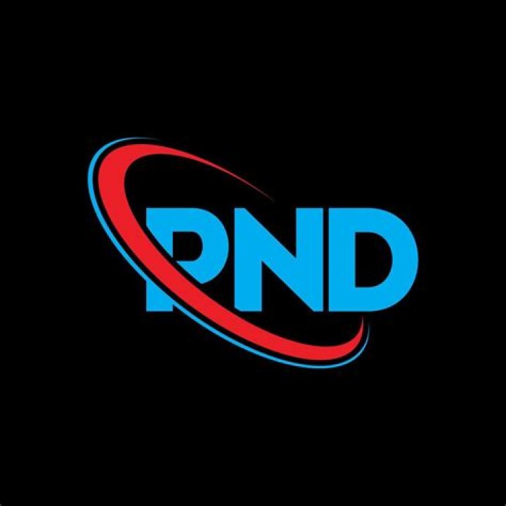 logotipo de pnd. carta pnd. dise&ntilde;o de logotipo de letra pnd. logotipo