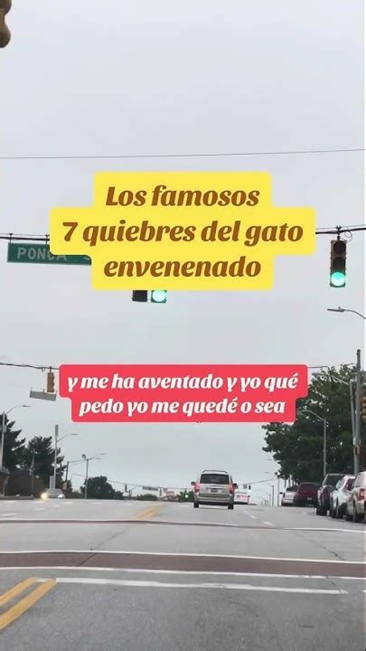 Los 7 quiebres del gato envenenado 🔥🔥Y ustedes cuando nos mandan el