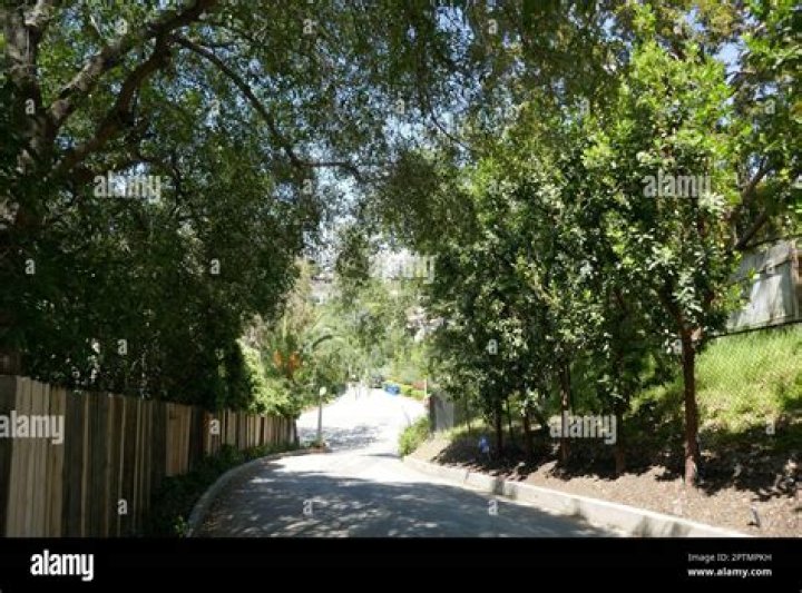 Los Angeles, California, USA 27th March 1995 Patricia Tilly, Rebecca