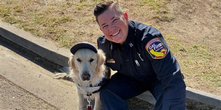 &lsquo;Emergency!&rsquo;s Michael Norell, Passes Away &mdash; He Lived in Assisted Living Facility before Death