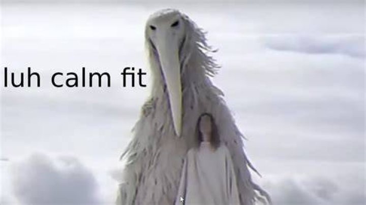 Luh Calm Fit YouTube