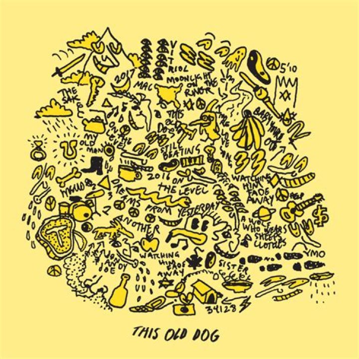 Mac DeMarco This Old Dog Vinyl LP Old dogs, Mac demarco vinyl, Vinyl