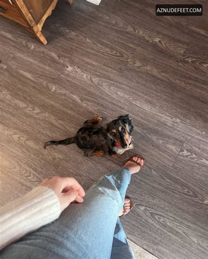 MADISON LINTZ Feet AZNudeFeet