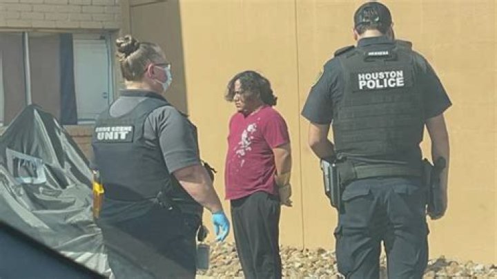 Man accused of killing family in Dearborn Heights pleads...