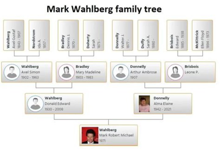 Mark Wahlberg Family Tree, Wife, Kids, Father, Age, Height, Net Worth