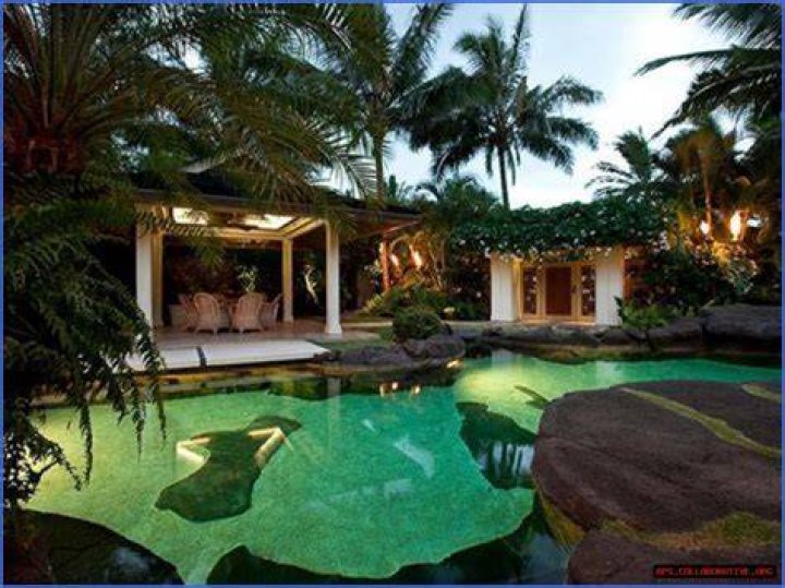 Maui Celebrity: The Star-Studded Paradise Of Hawaii