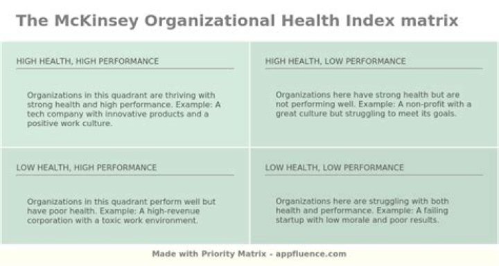 McKinsey Organizational Health Index [Free download]