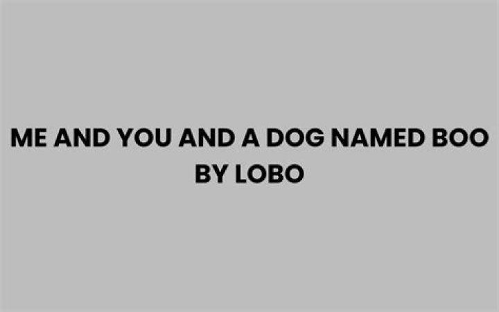 Me and You and a Blog Named Boo A Bunch of McDonald's Commercials from