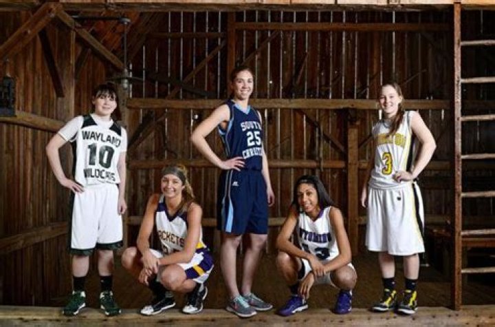Meet the girls Grand Rapids 2014 Dream Team