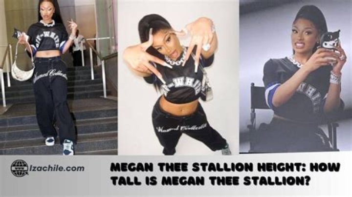 Megan Thee Stallion Height, Age, Boyfriend, Family, Biography & More