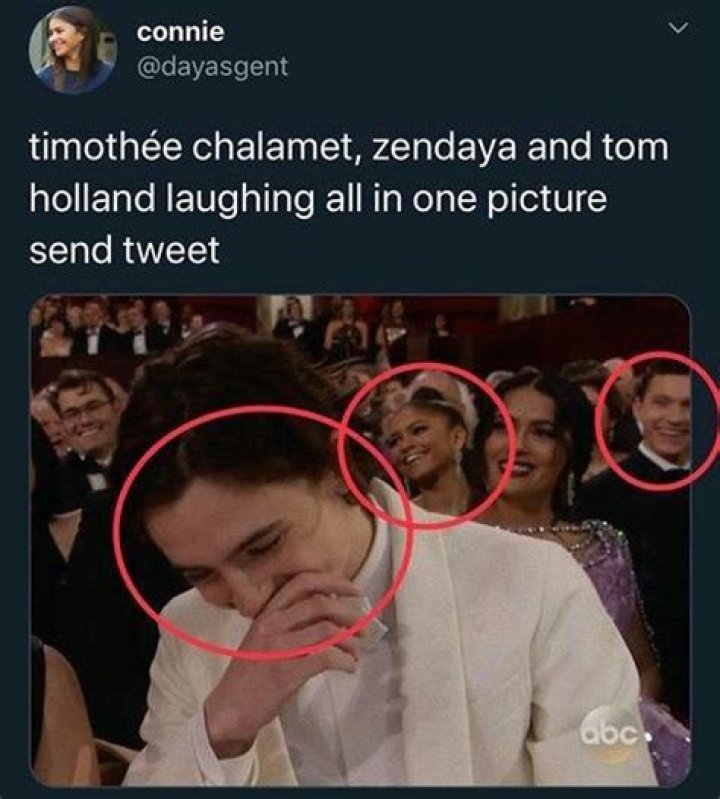 Memes About Timoth&eacute;e Chalamet & Pete Davidson's 'SNL' Rap Are Going