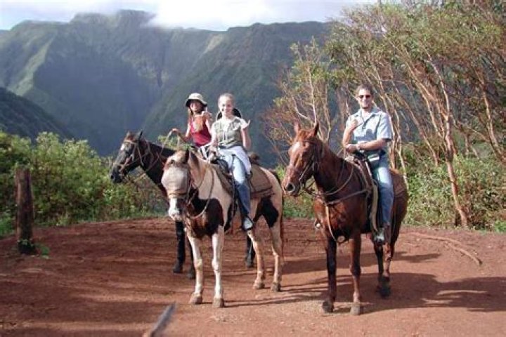 Mendes Ranch Horseback Riding