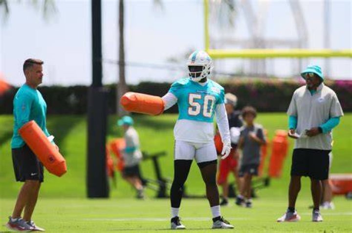 Miami Dolphins training camp preview Jesse Davis