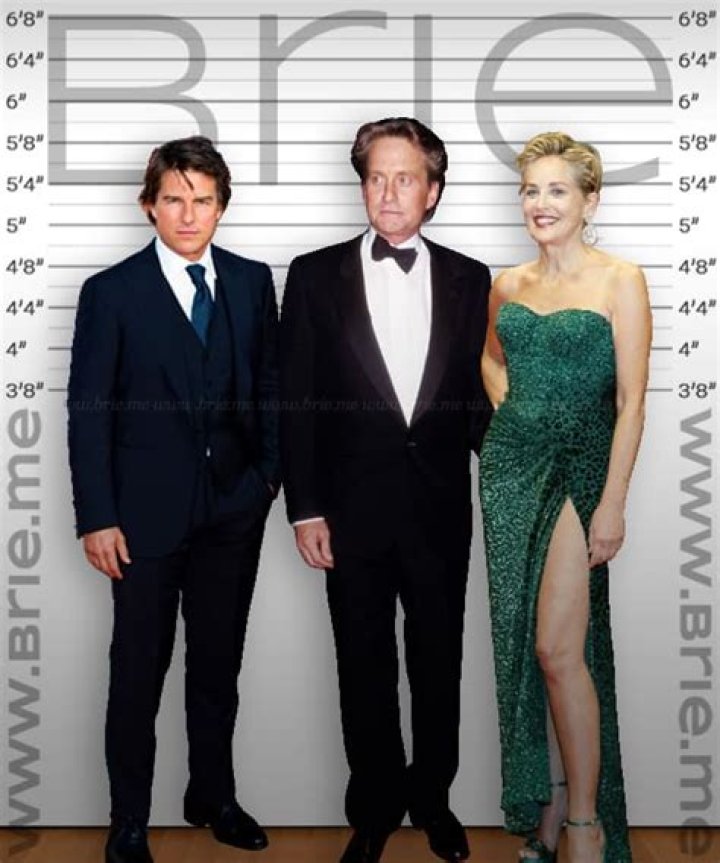 Michael Douglas Height Brie