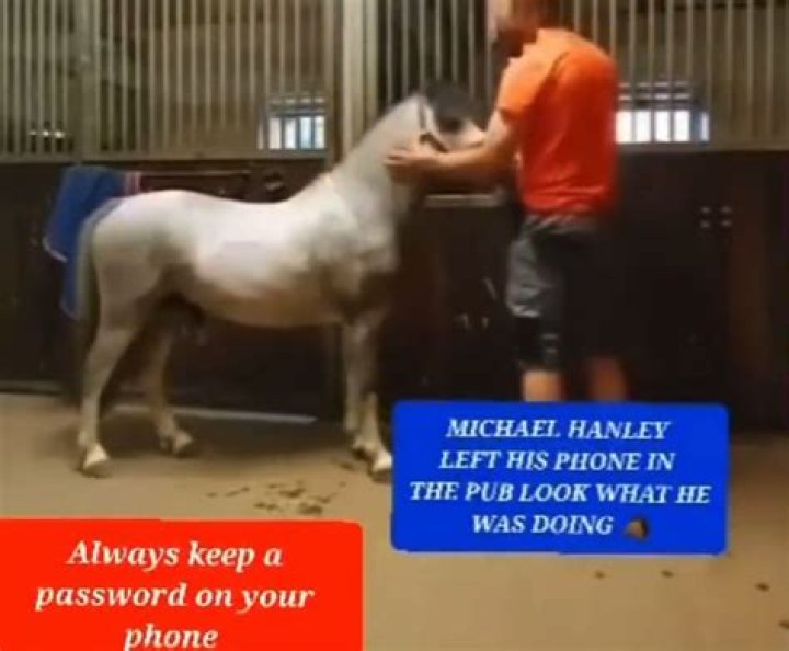 Michael Hanley Horse Video Exposes Animal Abuse