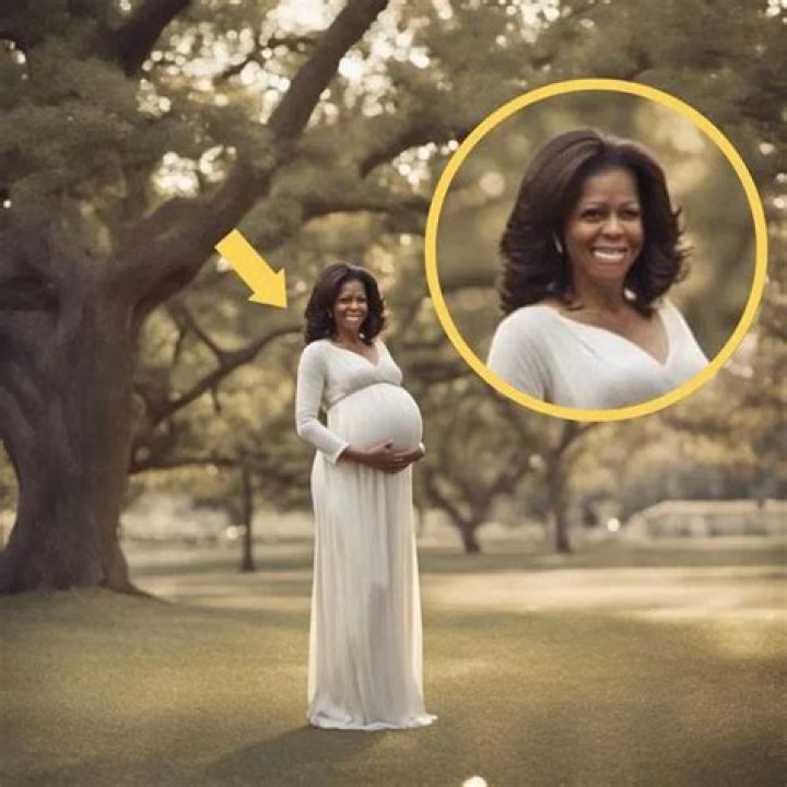 Michelle obama during pregnancy on Craiyon