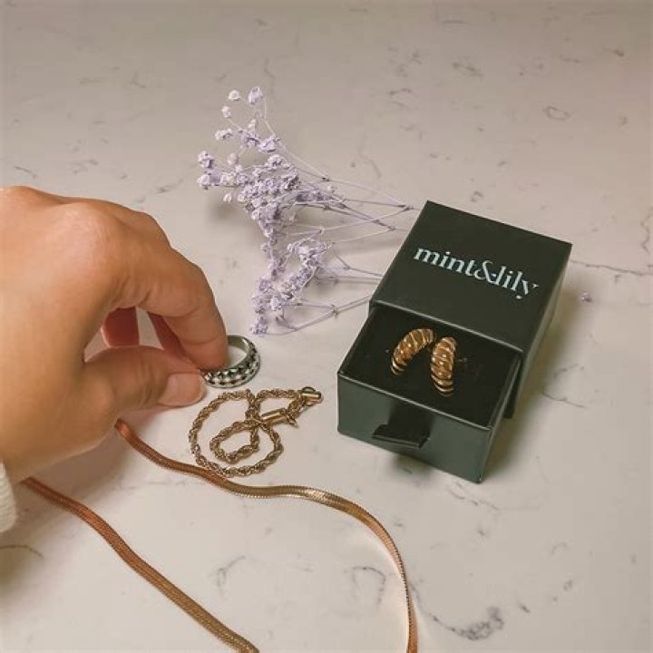 Mint And Lily Reviews Is Their Jewelry Worth It? ClothedUp