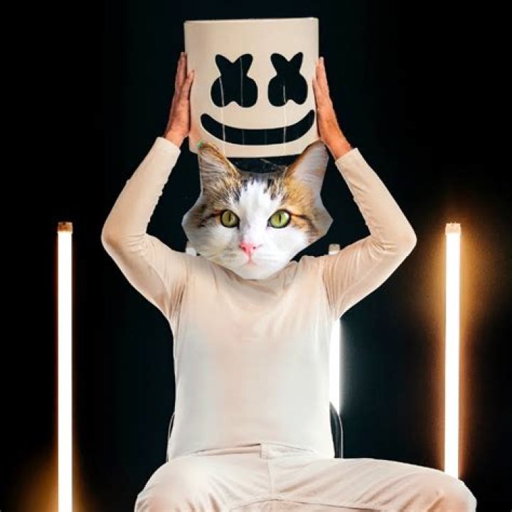 Mister Eggs Marshmello Identity is revealed!