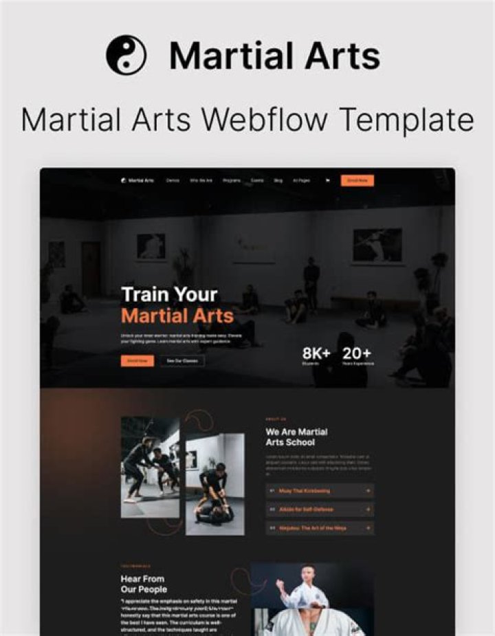 MMA Websites Martial Arts Website Design