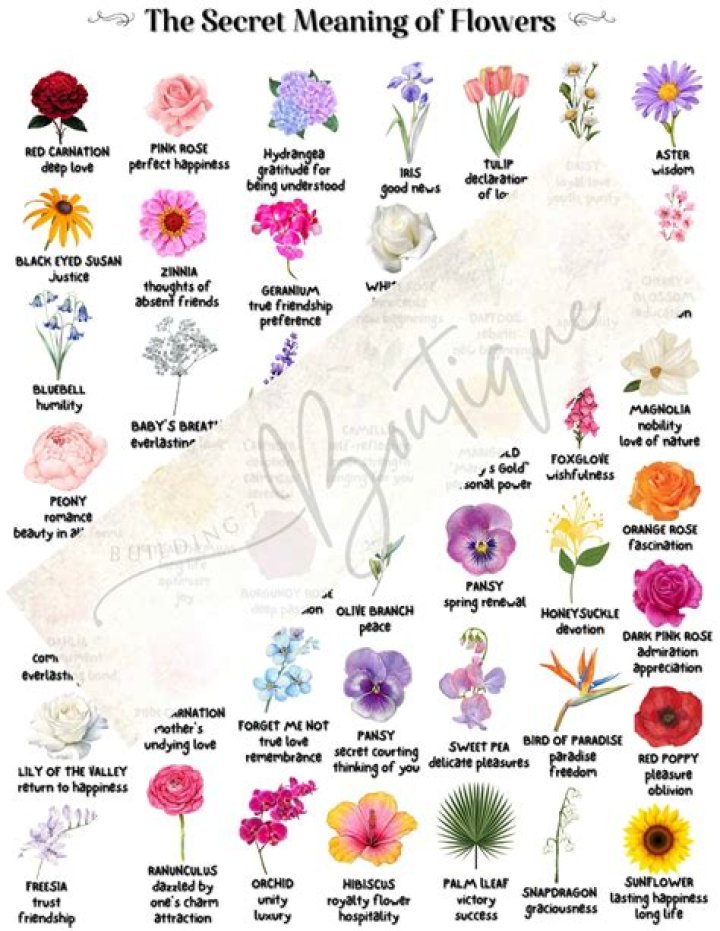 Moby Flower Meaning, Symbolism & Spiritual Significance Foliage