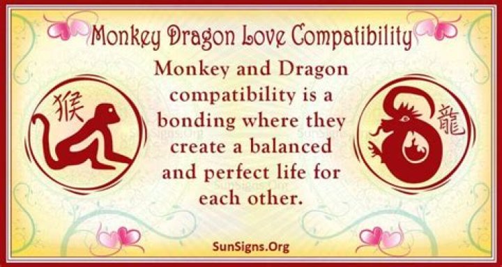 Monkey And Dragon Compatibility Tricky And Enjoyable