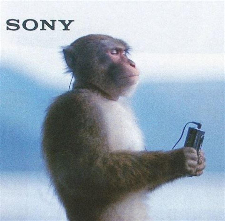 Monkey listening to music meme template download
