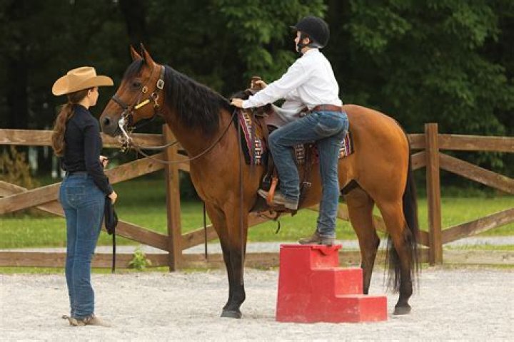 mounting a horse Equine Ridge
