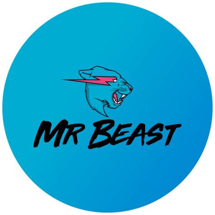 MrBeast Social Wiki Social Bluebook