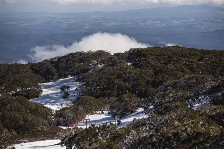 Mt Baw Baw Snow Day Tour