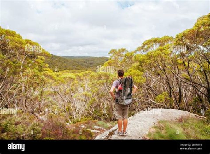Mt Baw Baw Walking Trails in Summer in Australia Stock Photo Image of