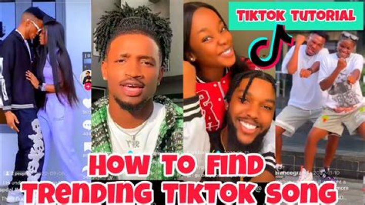 Music Trend Tiktok 2024 Kaile Marilee