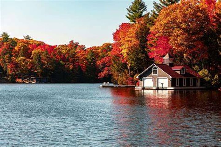 Muskoka Elonte🔨 on Twitter "RT WeAreCanProud Why does Trudeau have