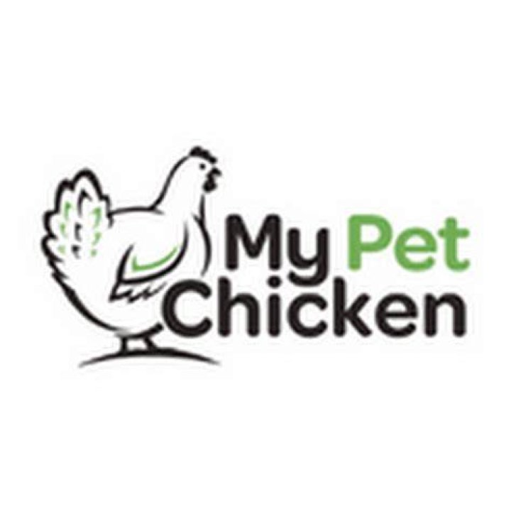 My pet chicken YouTube