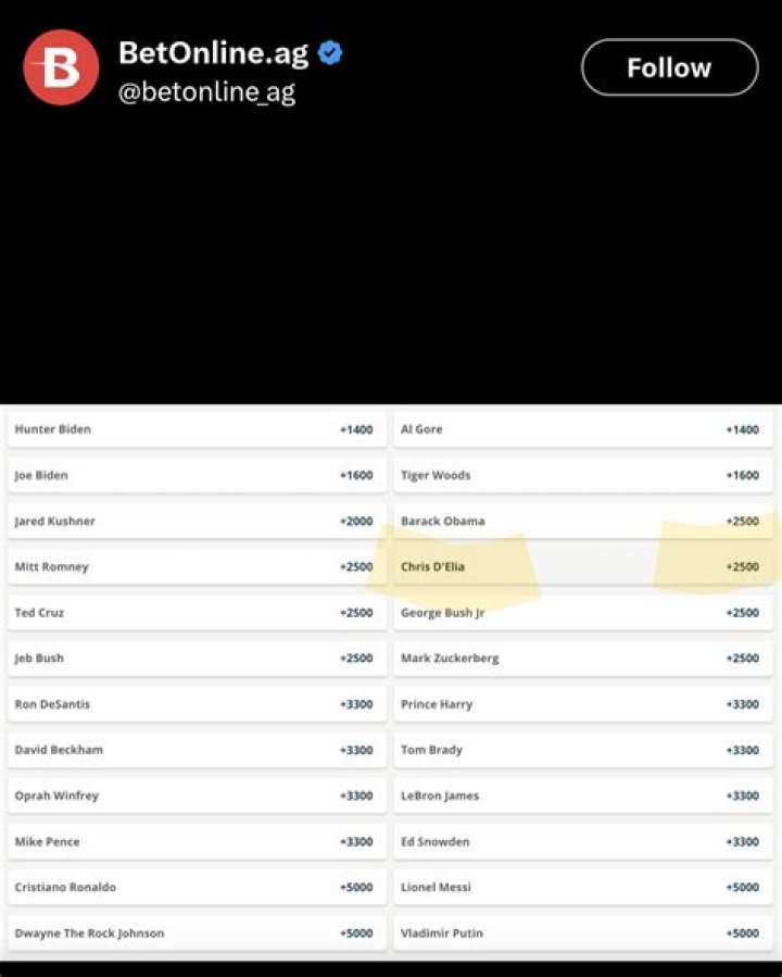 New Epstein flight log betting odds, look who made the list! r