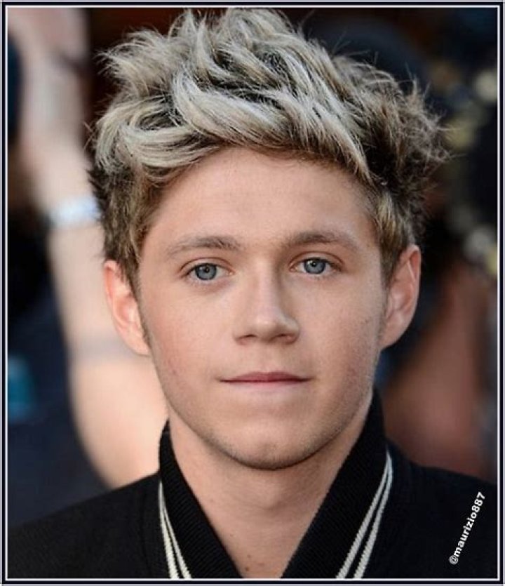 Niall horan 2013 One Direction Photo (34536912) Fanpop