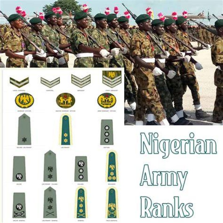 Nigerian Army Ranks Badges Picture