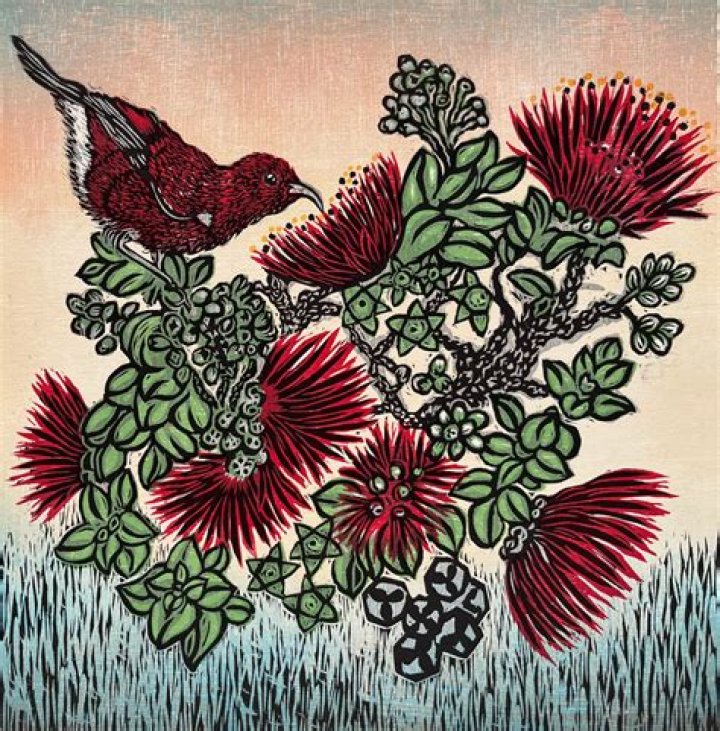 Nightingales&rsquo; Sundown Andrea Pro, Printmaker