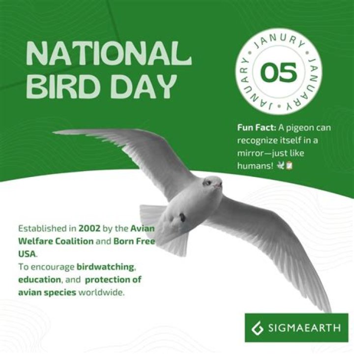 No challengers to national bird that rules Hart&rsquo;s The Boston Globe