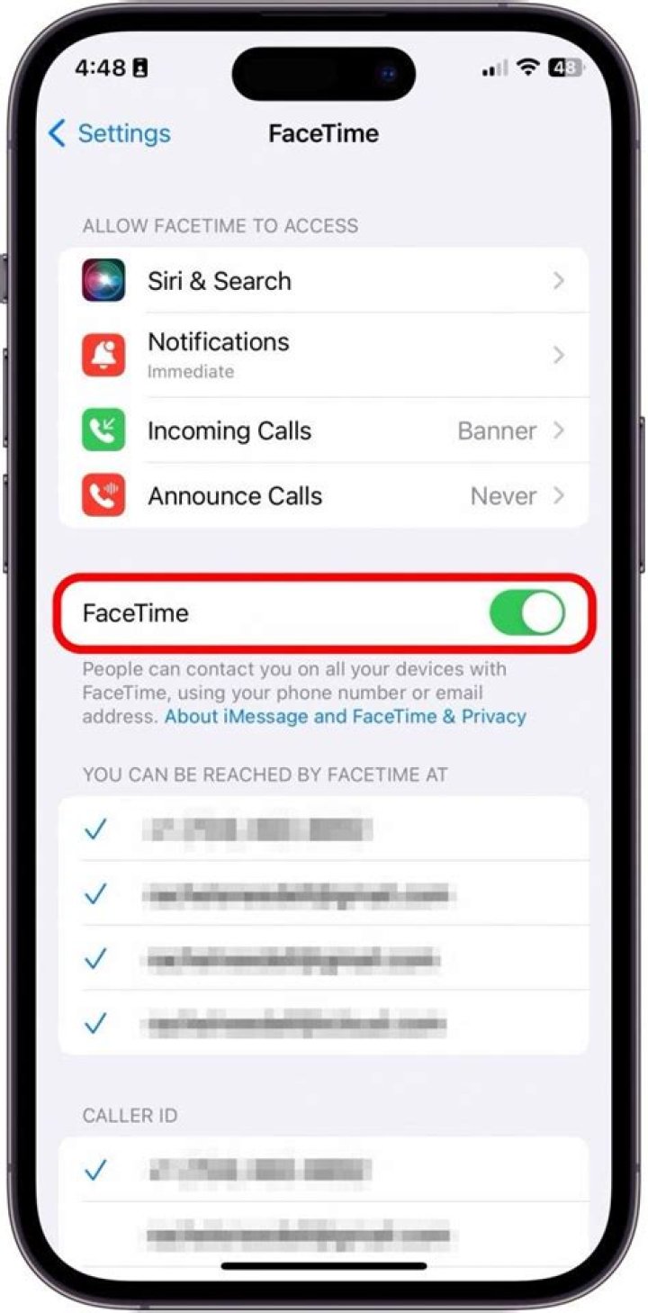 No, FaceTime is not available for UAE iPhone users with iOS 13.6 update