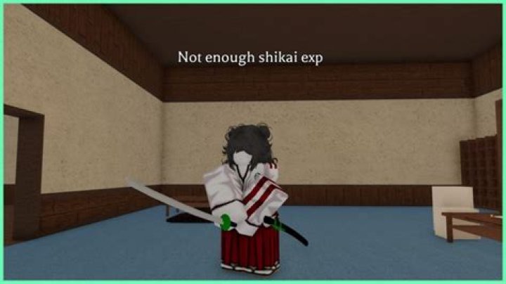 Not Enough Shikai EXP Type Soul Guide Gamezebo