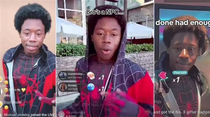 NPC Spider Man. Miles Morales on TikTok YouTube