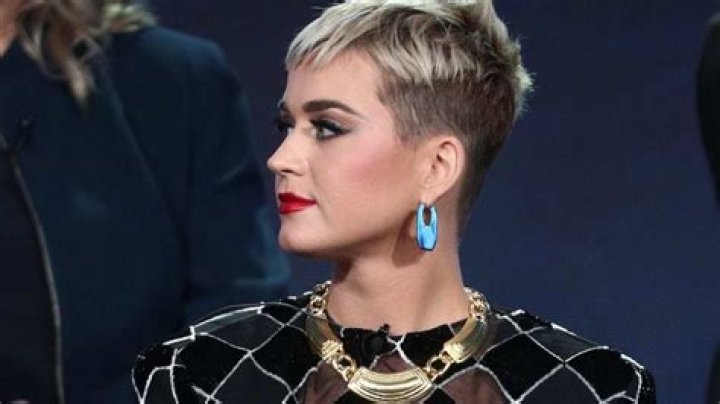 Nun who begged Katy Perry not to buy her convent dies after collapsing