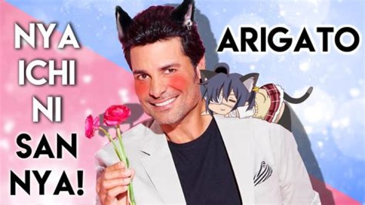 nya ichi ni san nya arigato 1 HOUR LOOP leat'eq tokyo YouTube